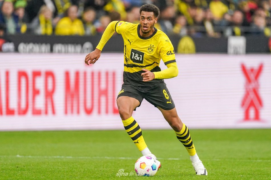 许多年轻球 许多年轻球